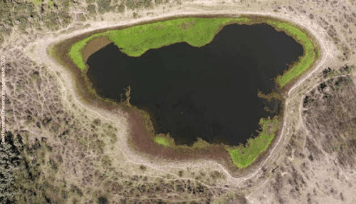 BIENALSUR2025 inaugura exposición temporal “La Amazonia y el Delta del Paraná” en el MASM