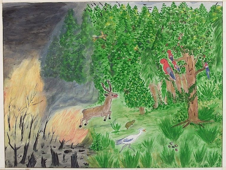 Colección Archivo de Dibujo y Pintura Campesina